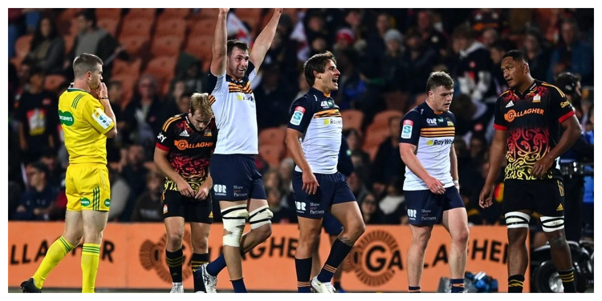 Brumbies