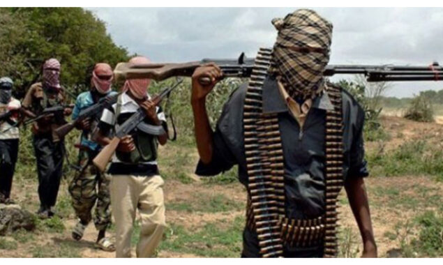 Gunmen kill 48 in northwest Nigeria attacks: local official