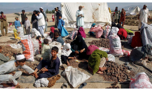 Civilians flee fighting in Afghanistan’s Panjshir Valley