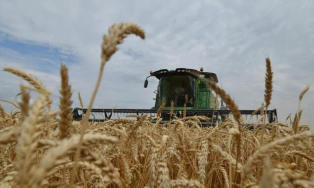 Wheat prices hit record high after Indian export ban