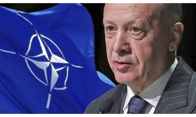 Ankara says Finland constructive, Sweden ‘provocative’ in NATO talks