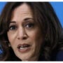 Kamala Harris leads high-level US team to meet new UAE leader