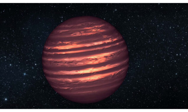 Pinpointing newborn stars and their protoplanetary discs through the fog