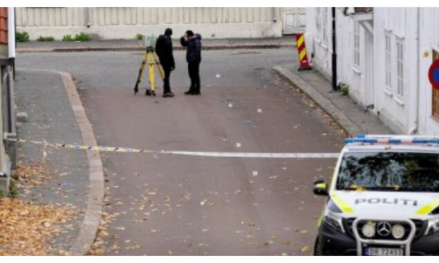 Dane pleads guilty to murders in Norway knife and arrow attack