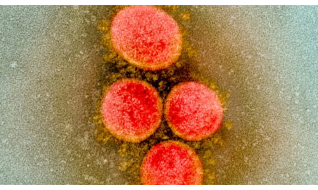 Europe health official warns monkeypox cases could ‘accelerate’