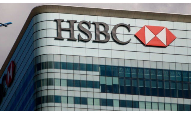 HSBC suspends banker over climate comments: reports