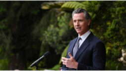 Gavin Newsom