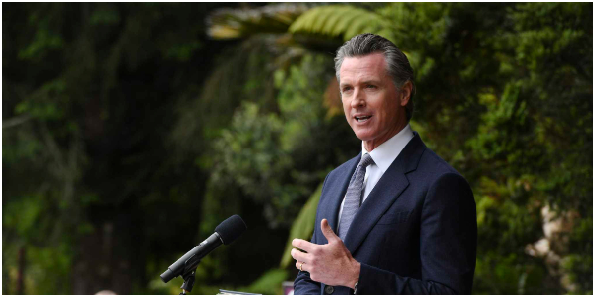 Gavin Newsom