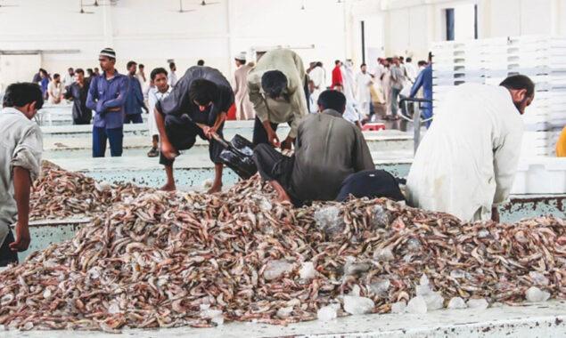 $50 million seafood export agreement signed by Chinese entrepreneur