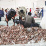 $50 million seafood export agreement signed by Chinese entrepreneur