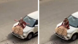 ‘Boss bride’ proposes to her spouse in a unique way watch the video
