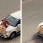 ‘Boss bride’ proposes to her spouse in a unique way watch the video