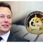 Mark Cuban offers a DOGE upgrade to Elon Musk on Twitter as way to fight against spam