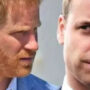 Harry prepares to make his announcement, William bursts “Fiercely protective”