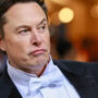 Elon Musk questions Twitter boycott call from groups supported by Soros, Clinton operatives