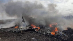 Over the last day, the Ukrainian Air Force has destroyed two cruise missiles