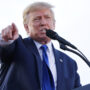 Trump publicly announces his approval for investor Blake Masters