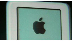 The iPod