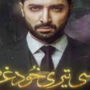 Danish Taimoor’s new drama serial