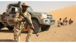 Multinational force