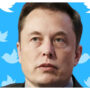 Musk state Twitter has charged for breach NDA after a tweet their bot test
