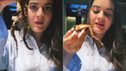 Minal Khan is having octopus in dinner