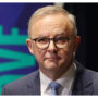 Anthony Albanese rejects NSW premier’s call to cut seven-day Covid isolation period