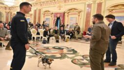 Zelenskyy awards medal to mine sniffing dog