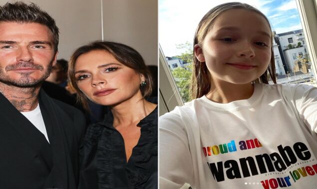 Victoria Beckham is fearful for safety of her family after stalker made disturbing claim regarding Harper