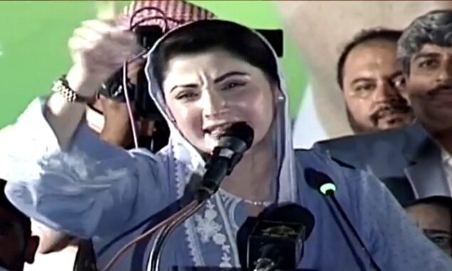 Rana Sanaullah to find, bring back Farah Gogi, says Maryam Nawaz