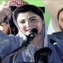 Rana Sanaullah to find, bring back Farah Gogi, says Maryam Nawaz