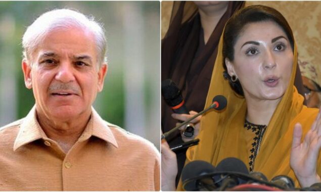 PM Shehbaz, Maryam to address public gathering in Mansehra today