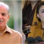 PM Shehbaz, Maryam to address public gathering in Mansehra today