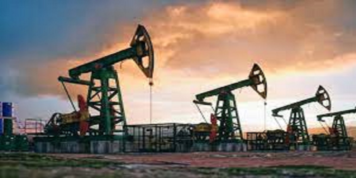 Oil