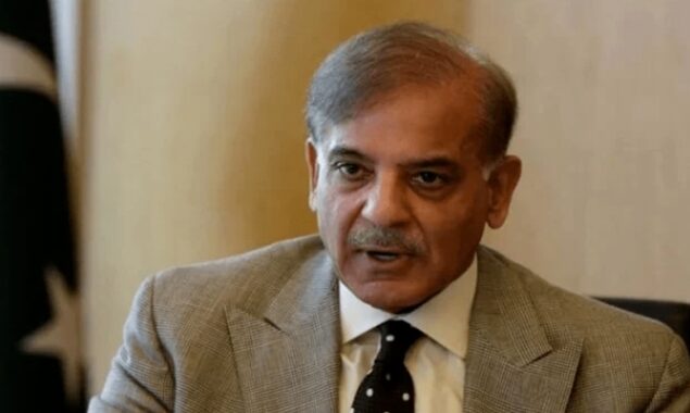 Shehbaz Sharif vows to turn nation’s nuclear power into an economic power