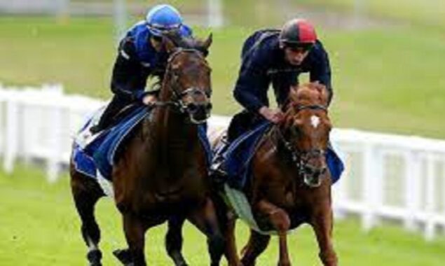Charlie Appleby sweet on conceivable Epsom beneficial Nations Pride