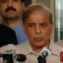 Half of PKLI patients to get free treatment, says PM Shehbaz