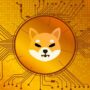Shiba Inu TO PKR: Today’s Shiba Inu to PKR rates on, May 6, 2022