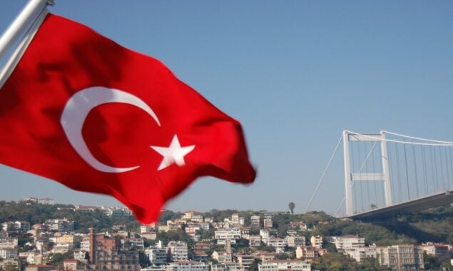 Eight Turkish citizens kidnapped by gang in Haiti: consul