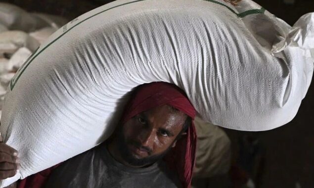 Bitter harvest for Indian farmers after wheat export ban