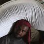Bitter harvest for Indian farmers after wheat export ban