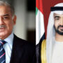 PM Shehbaz congratulates Sheikh Mohamed bin Zayed on being elected UAE president