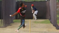 lahore qalandars