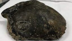 Human skull dating back nearly 8,000 years found in Minnesota River