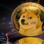 • Dogecoin TO PKR: Today’s Dogecoin Price in Pakistan on, May 26, 2022.