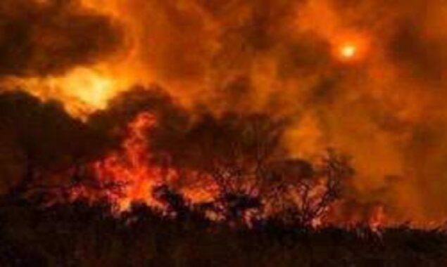 Balochistan in a wildfire, authorities fell short to snuff out fire