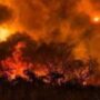 Balochistan in a wildfire, authorities fell short to snuff out fire