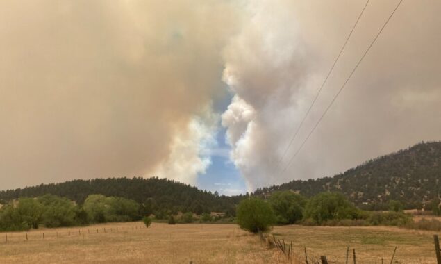 New Mexico fire slowed due to rain, mountain snow