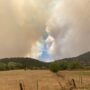 New Mexico fire slowed due to rain, mountain snow