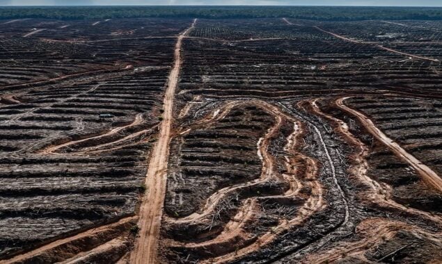 UN talks to tackle degraded land ’emergency’ begin